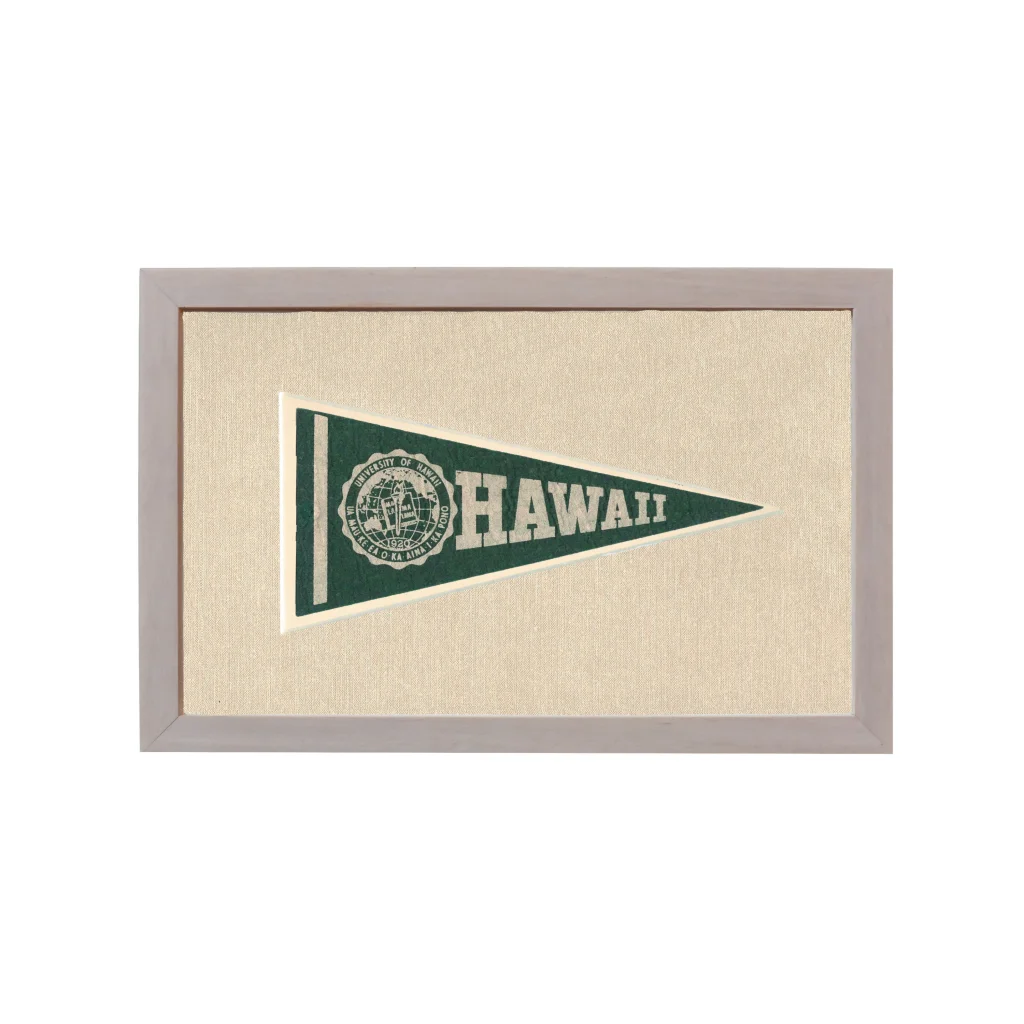 Vintage University of Hawaii Pennant | Rare Vintage Wool Felt Pennant Flag | vintageantiquesgifts.com