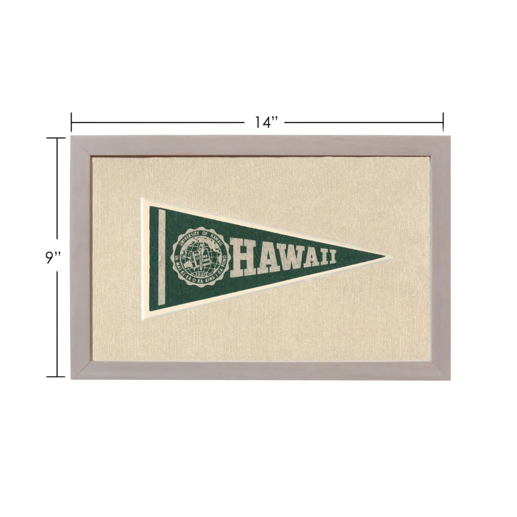 Vintage University of Hawaii pennant in light gray frame