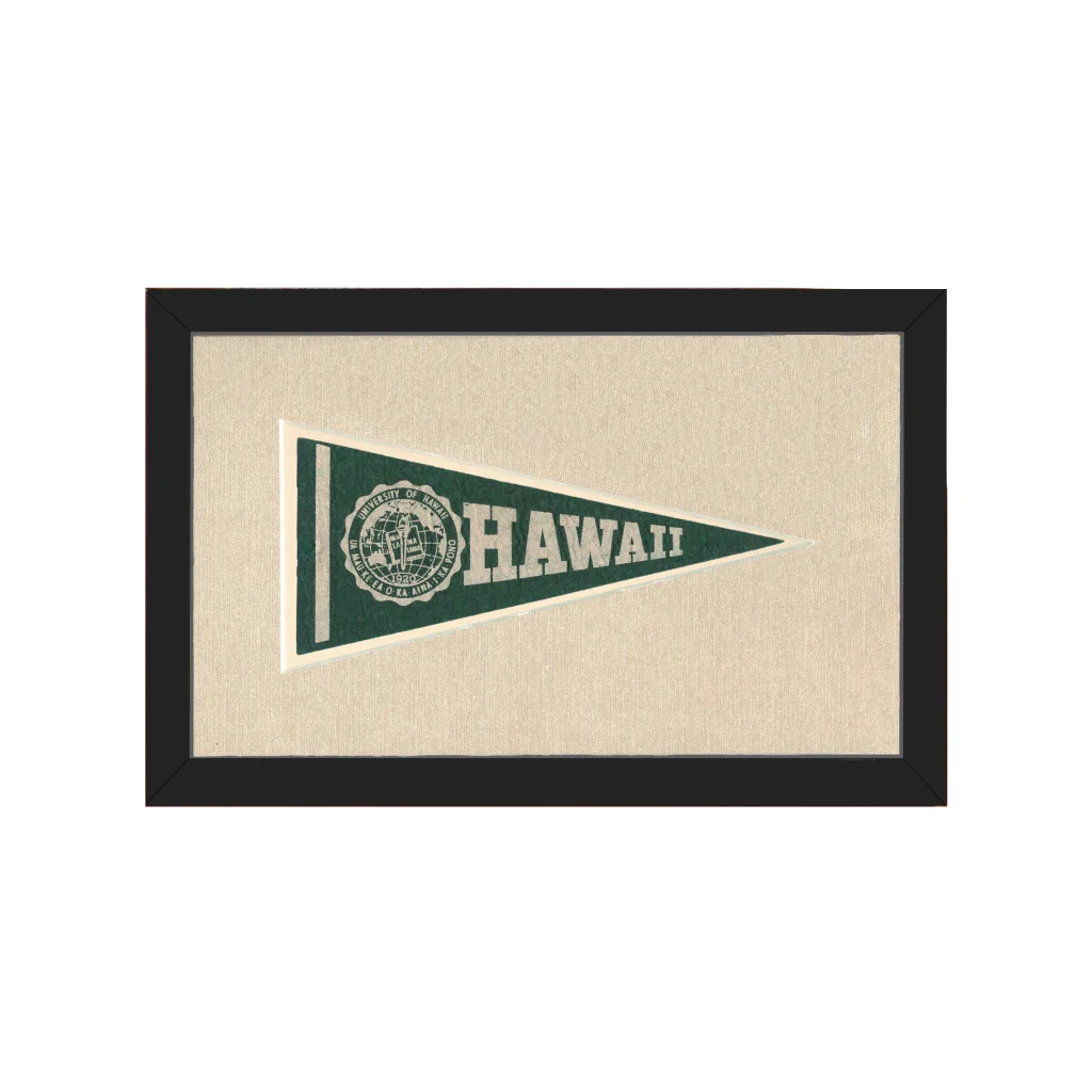 Vintage University of Hawaii Pennant | Americana Memories | vintageantiquesgifts.com