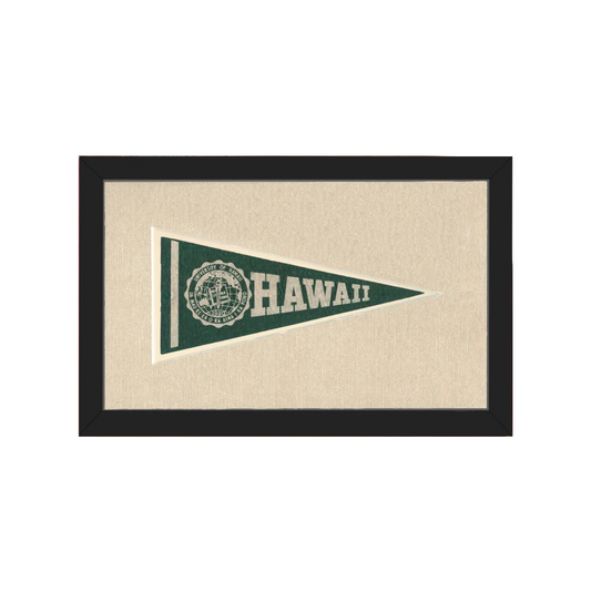 Vintage University of Hawaii Pennant | Americana Memories | vintageantiquesgifts.com