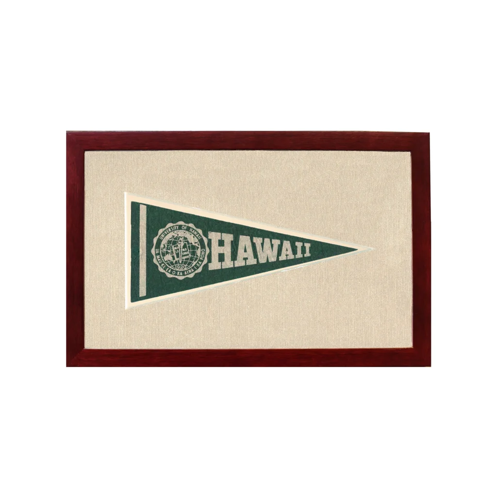 Vintage University of Hawaii Pennant | 1950s Wool Felt Pennant Framed Display | vintageantiquesgifts.com