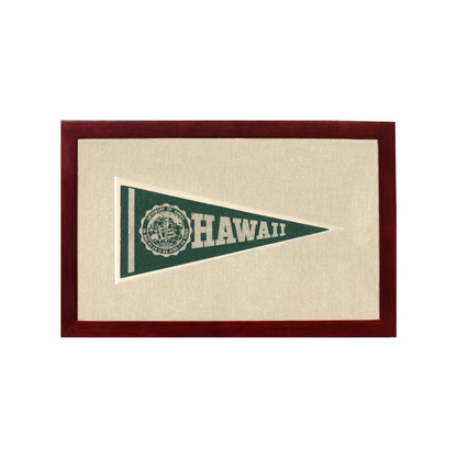 Vintage University of Hawaii Pennant | 1950s Wool Felt Pennant Framed Display | vintageantiquesgifts.com
