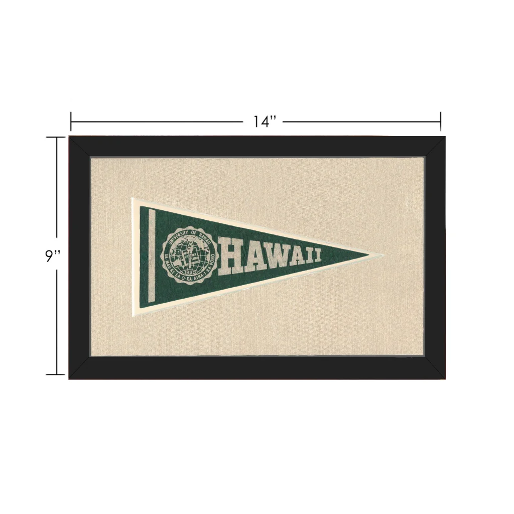 Vintage University of Hawaii Pennant | Vintage Collectible Sports Pennant | vintageantiquesgifts.com