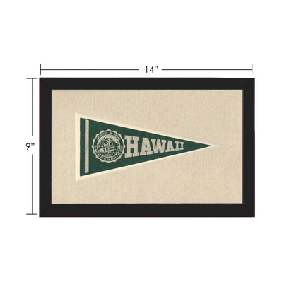 Vintage University of Hawaii Pennant | Vintage Collectible Sports Pennant | vintageantiquesgifts.com