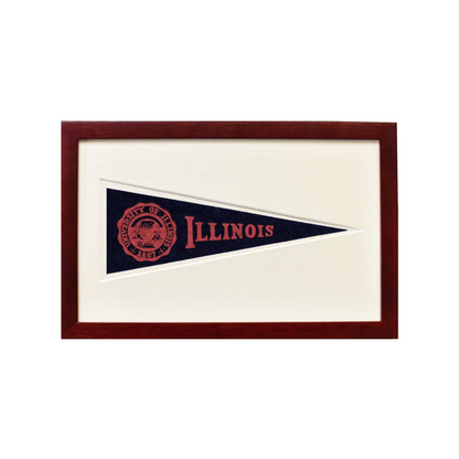 Vintage University of Illinois wool felt Hormel pennant in navy blue