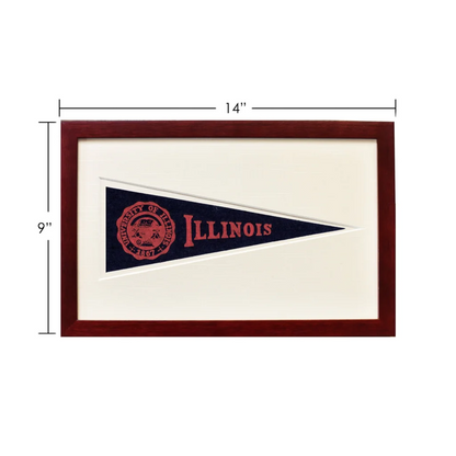 Vintage University of Illinois wool felt pennant flag