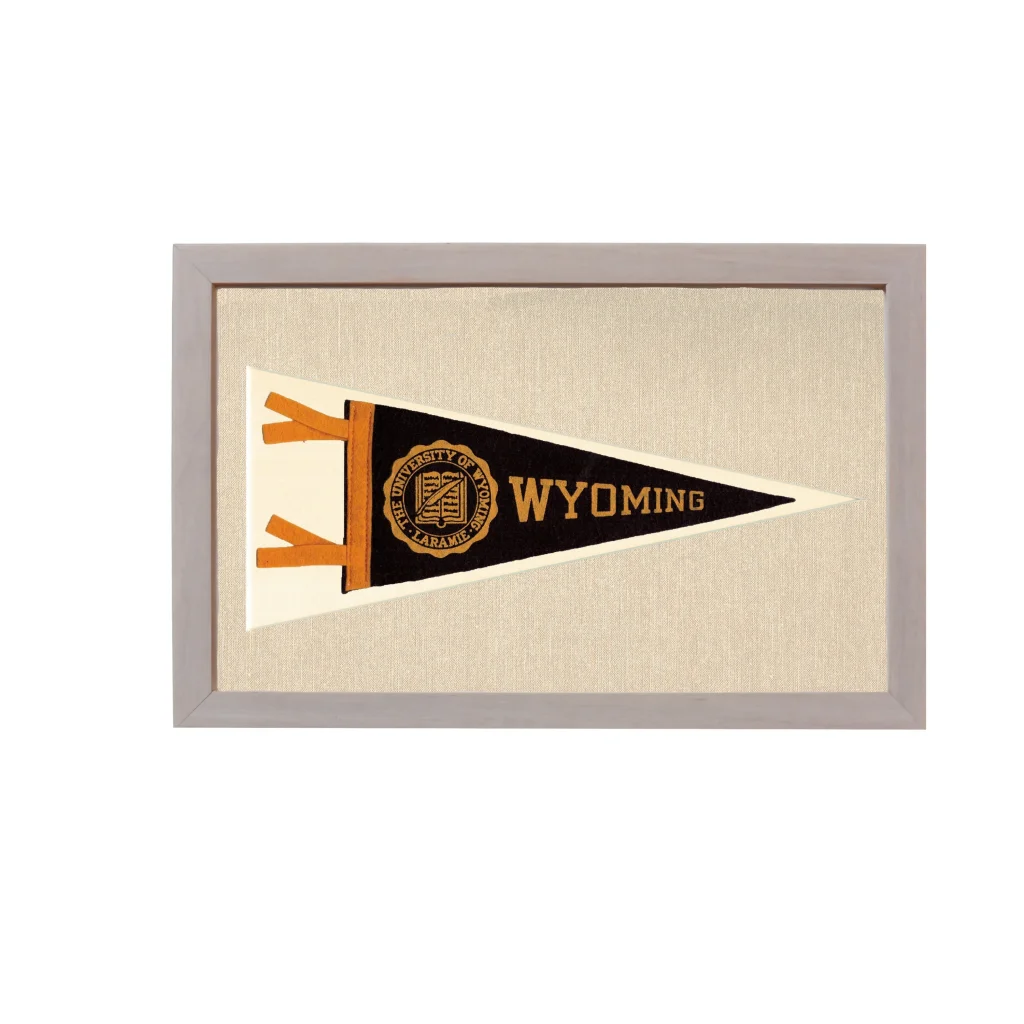 Vintage University of Wyoming Pennant | Rare Vintage Wool Felt Pennant Flag | vintageantiquesgifts.com