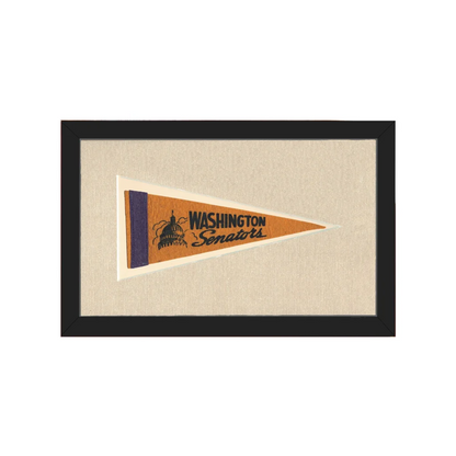 Vintage Washington Senators Pennant | Americana Memories | vintageantiquesgifts.com