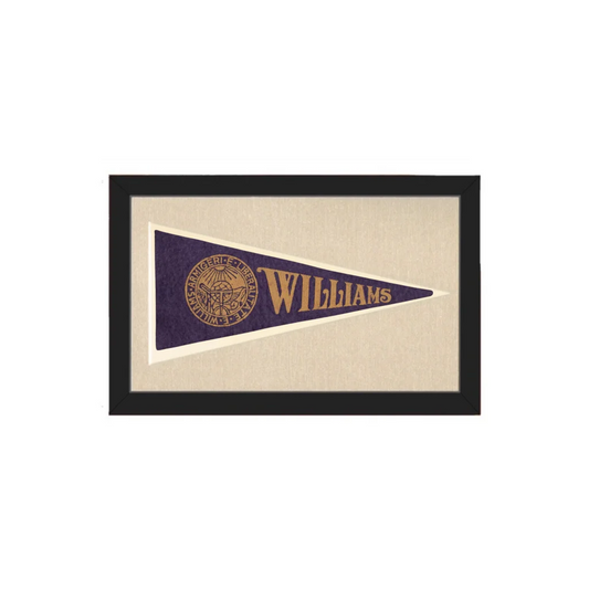 A framed vintage williams college pennant in purple and gold with a circular emblem representing vintage pennants