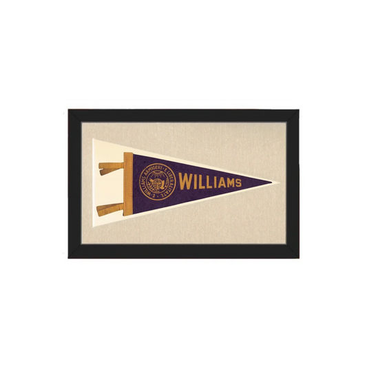 A framed vintage Williams College pennant in purple and gold with wooden pole displayed on cream mat