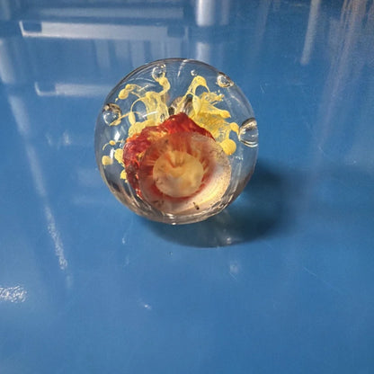 Vtg art glass oval paperweight with preserved flower in clear orb
