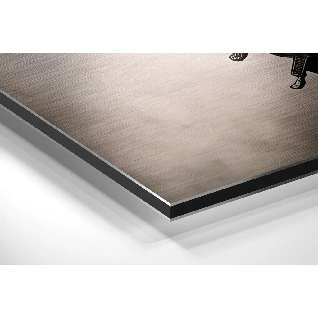 Stunning brushed aluminium dibond steampunk horse wall art print