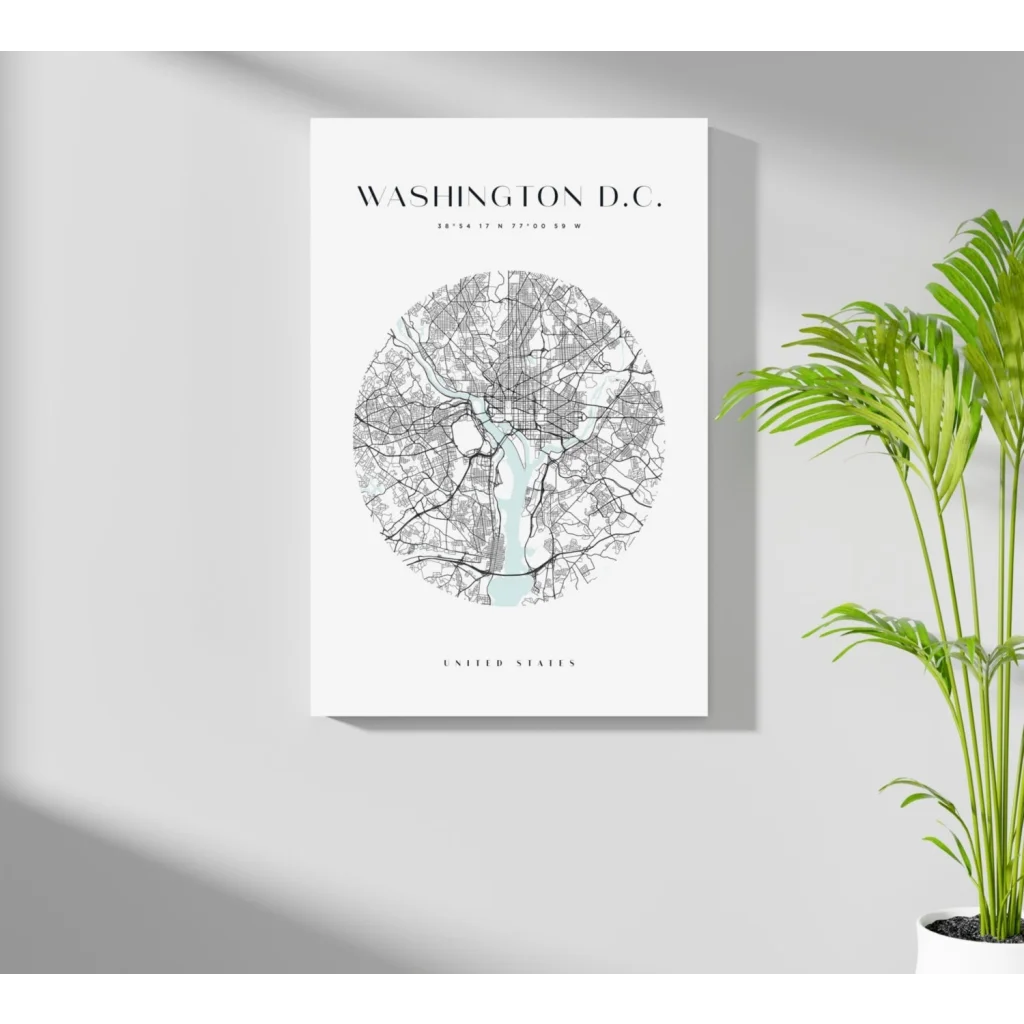 Insigne aluminum prints: minimalist D.C. map canvas