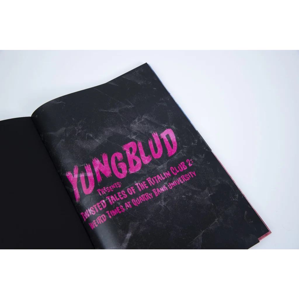 Open black booklet with pink text from Weird Times at Quarry Bank University graphic novel