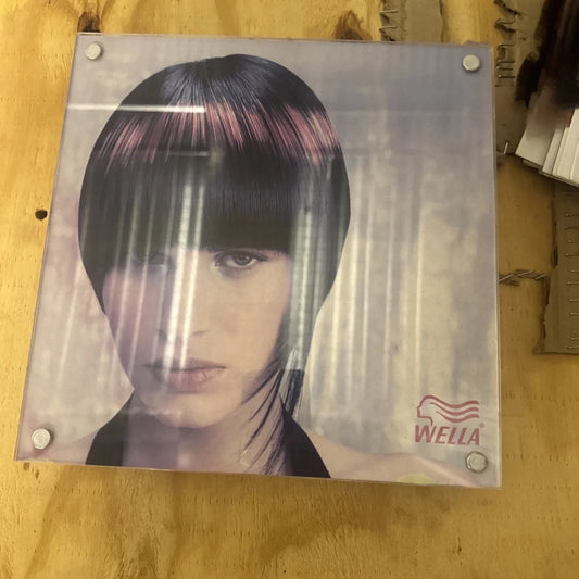 Wella framed photo display with acrylic plaque of woman with black hair, pink highlights