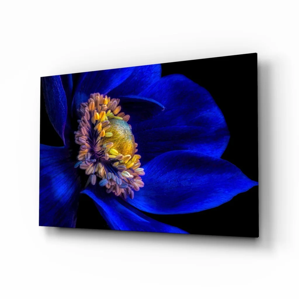 Vibrant blue flower glass wall art on sleek black canvas