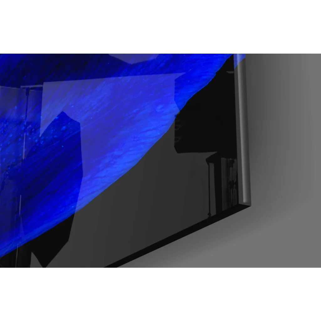 Stunning blue flower glass wall art on black canvas TV display