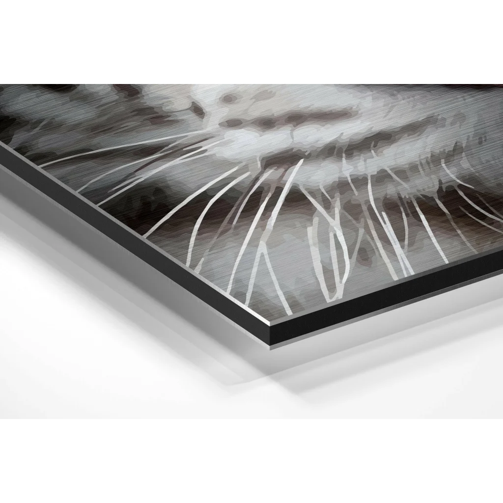 Glass Wall Art White Tiger Brushed Aluminium Dibond Wall Art