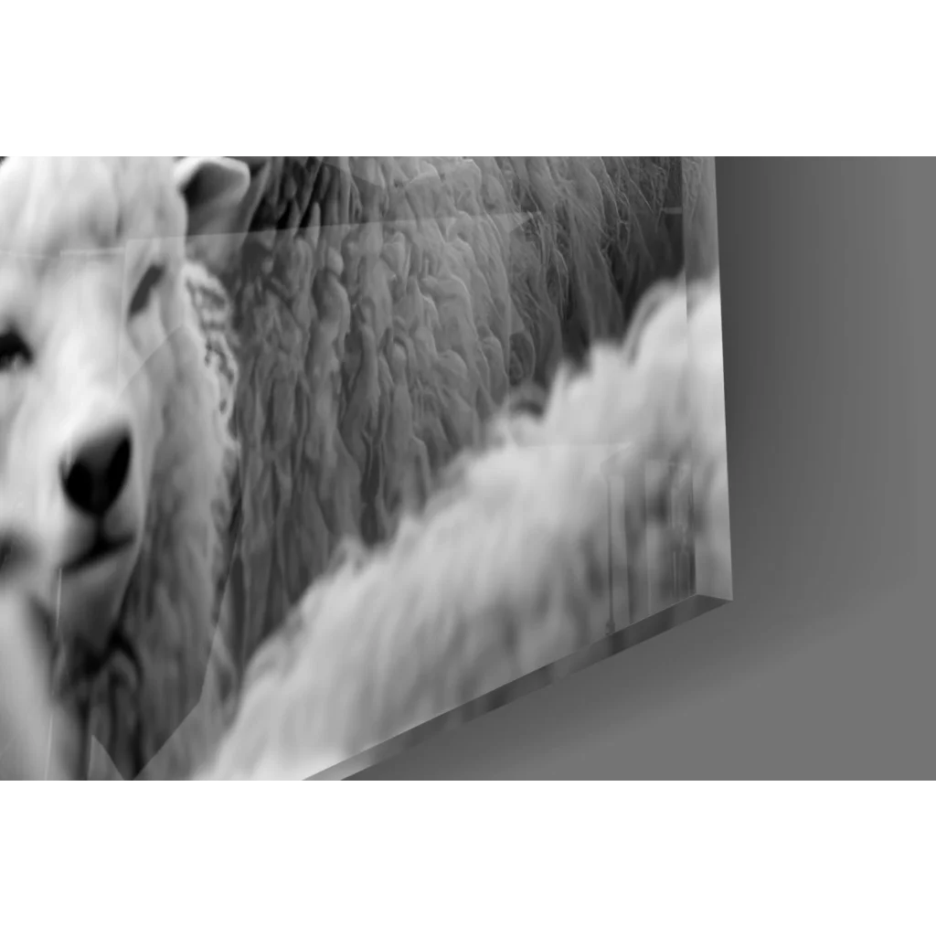 Close-up black-and-white sheep face with blue eyes in wolf among sheep wall art