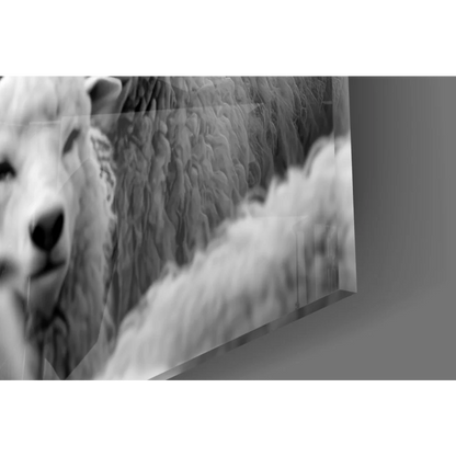 Close-up black-and-white sheep face with blue eyes in wolf among sheep wall art