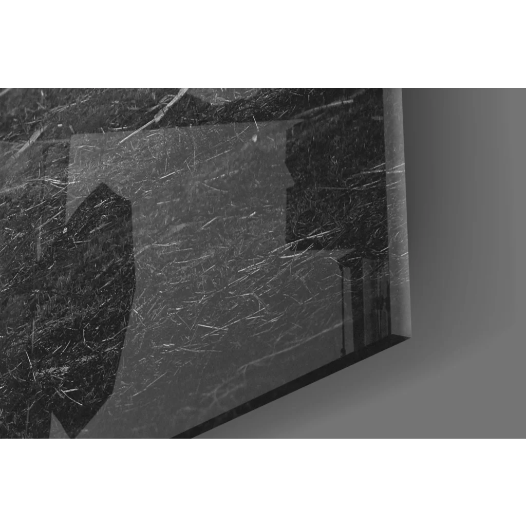 Mystical wolf in foggy forest black and white canvas wall art