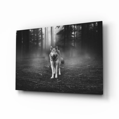 Black and white wolf in misty forest canvas wall art