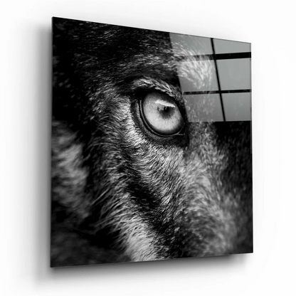 Close-up wolf eye in black-and-white glass wall art with fur texture