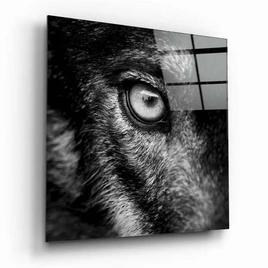 Close-up wolf eye in black-and-white glass wall art with fur texture