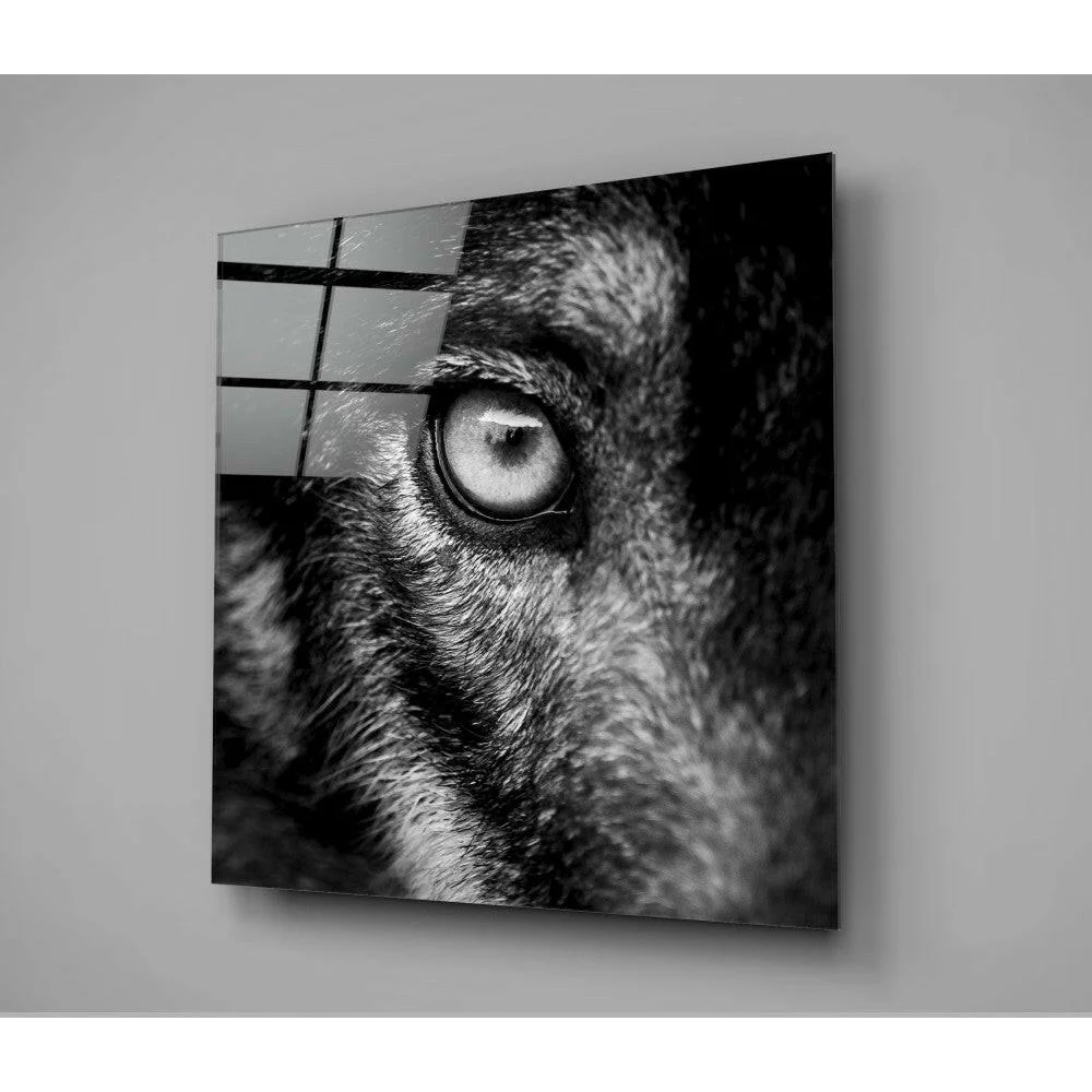 Stunning wolf eye glass wall art with black-and-white frame