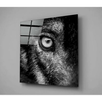 Stunning wolf eye glass wall art with black-and-white frame