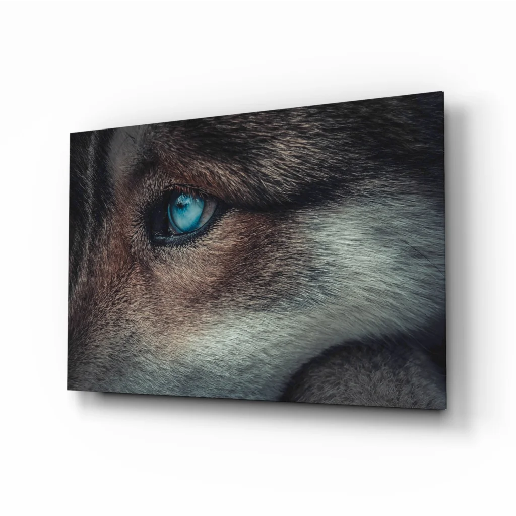 Piercing blue wolf eye close-up canvas wall art print