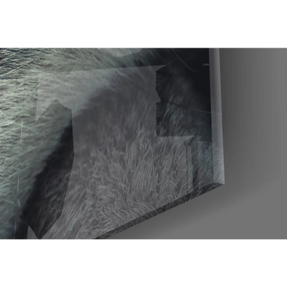 Framed black-and-white photo of person in tall grass wall art