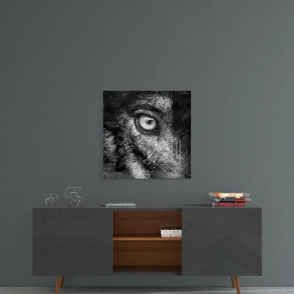 Intense wolf eye close-up on smoky abstract glass wall art