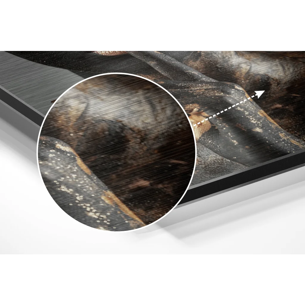 glass wall art Women Brushed Aluminium Dibond Wall Art