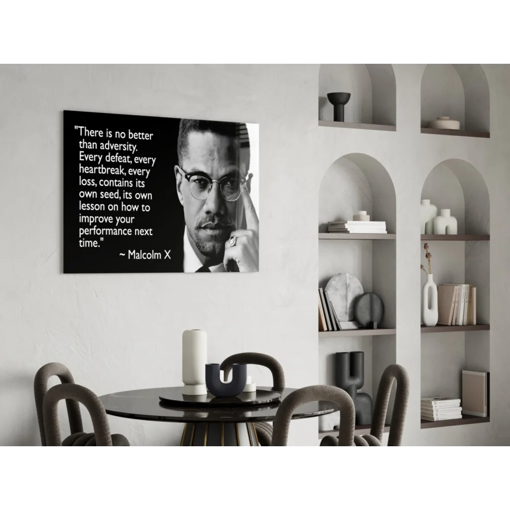 Malcolm X black and white framed portrait wall art with quote