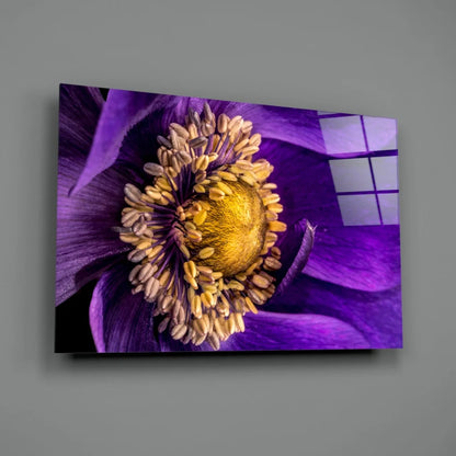 Stunning purple anemone flower wall art canvas print