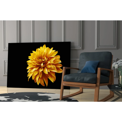 Vibrant yellow dahlia wall art canvas print on black background