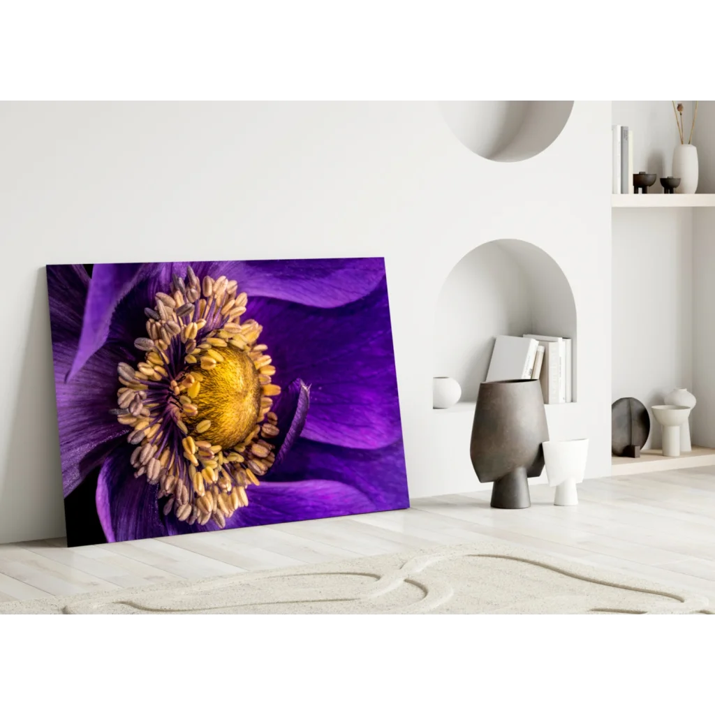 Vibrant purple and gold anemone flower wall art canvas print