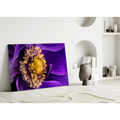 Vibrant purple and gold anemone flower wall art canvas print