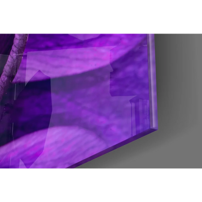 Stunning purple anemone glass wall art with glossy translucent panel