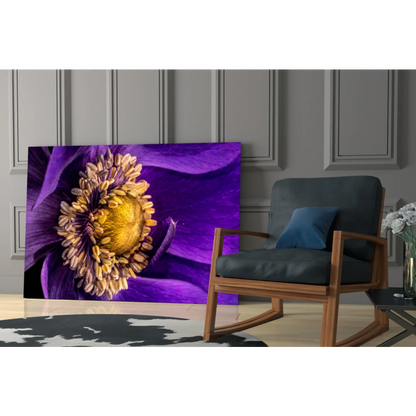 Vibrant purple and gold anemone flower wall art canvas print