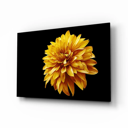 Stunning Yellow Dahlia Black Canvas Wall Art | Insigneart USA | vintageantiquesgifts.com