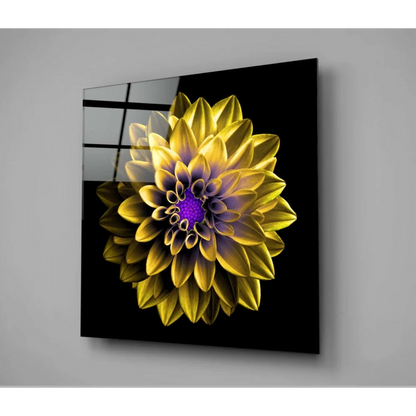Vibrant yellow and purple dahlia glass wall art panel on sleek black