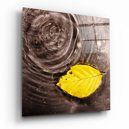 Vibrant yellow leaf on dark rippling water glass wall art