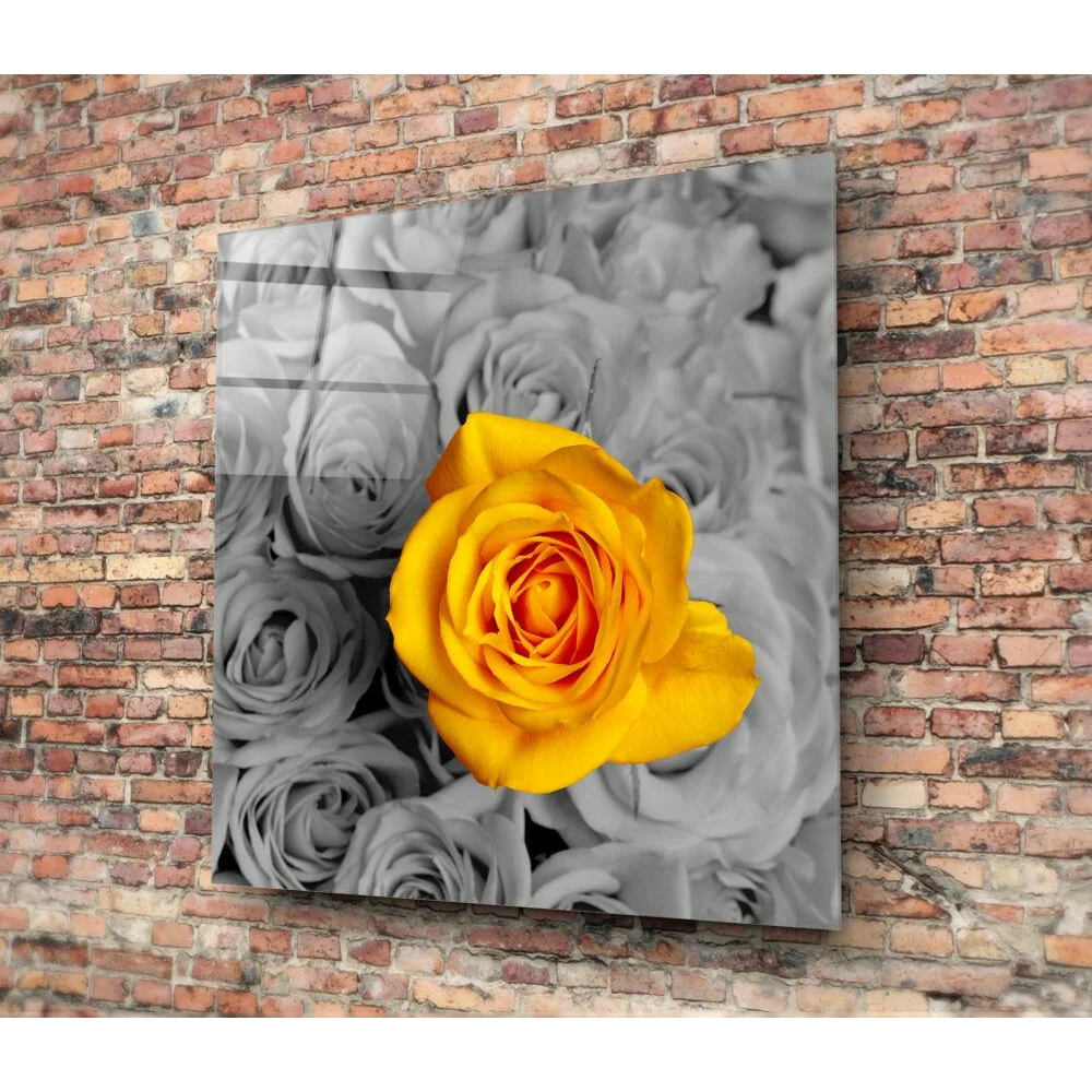 Vibrant yellow rose glass wall art with monochrome blooms backdrop