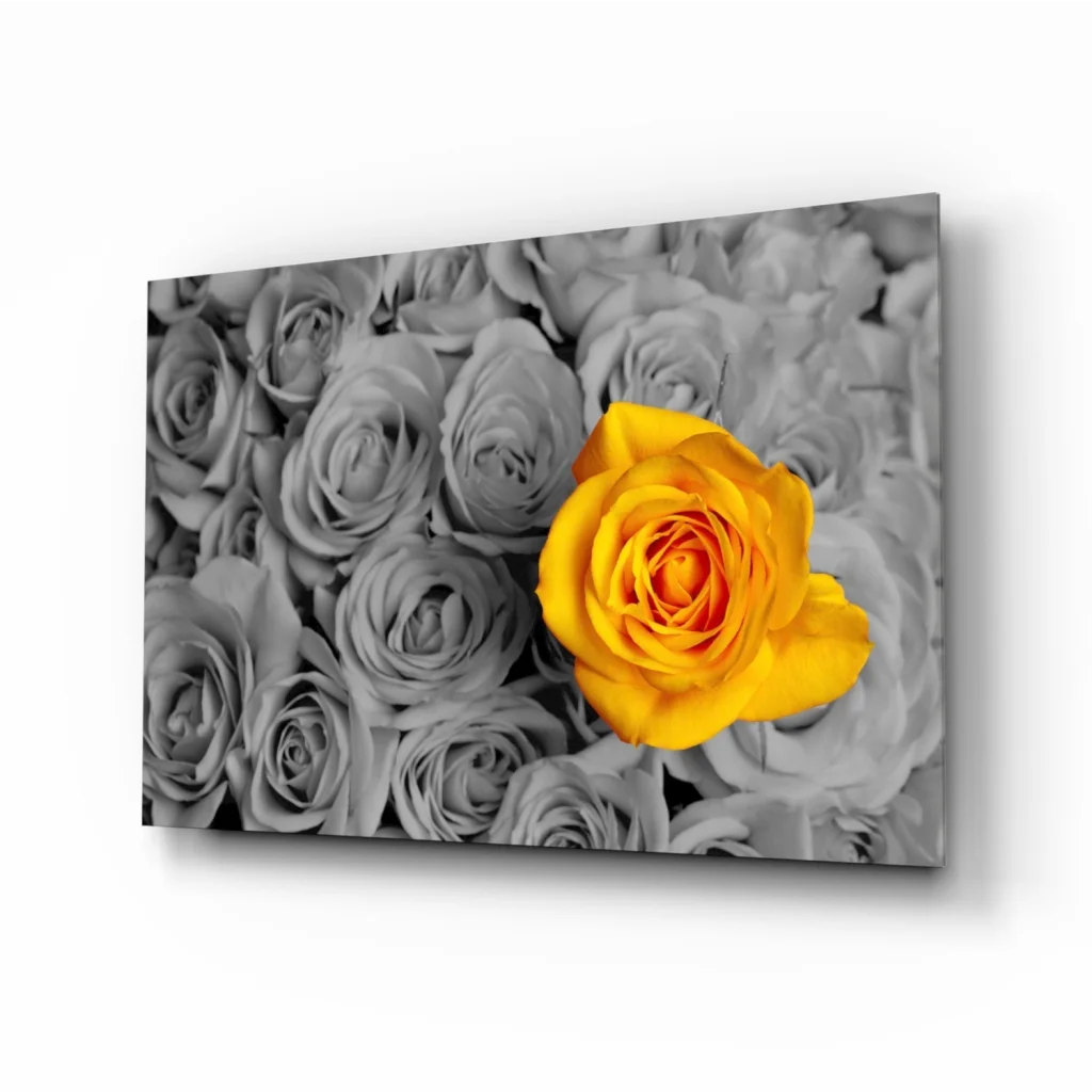 Vibrant yellow rose wall art on gray background canvas print