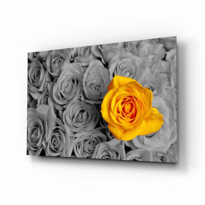 Vibrant yellow rose wall art on gray background canvas print