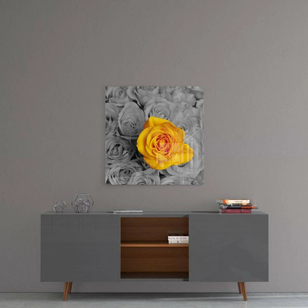 Vibrant yellow rose in glass wall art with monochrome blooms