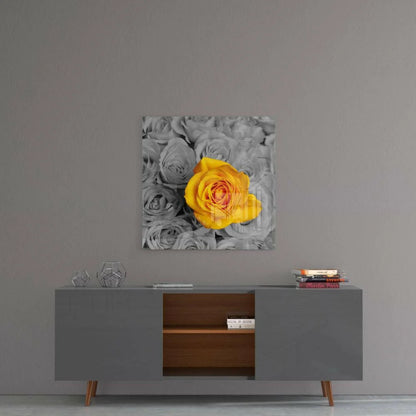 Vibrant yellow rose in glass wall art with monochrome blooms