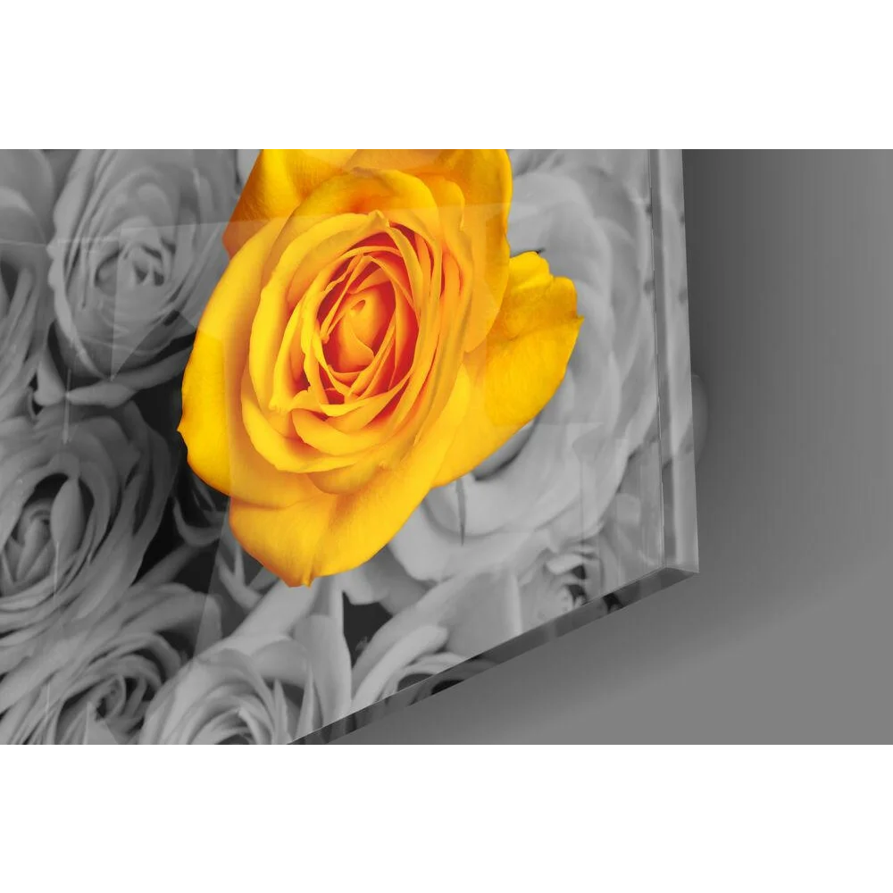 Vibrant yellow rose glass wall art on monochrome floral background